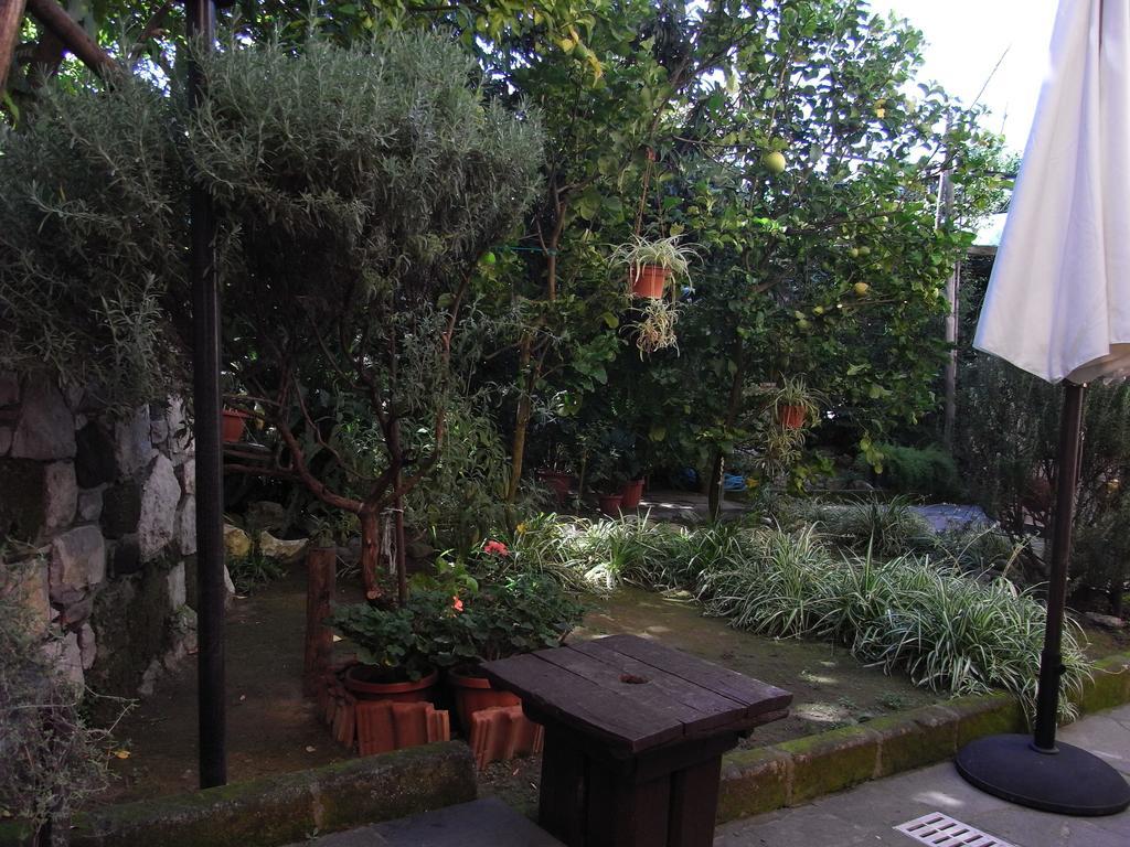 Apartment Casale Nunziatina *